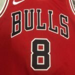 23 Season Chicago Bulls Red Jersey No.8 - Image 4