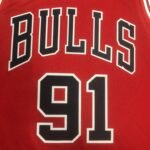 23 Season Chicago Bulls Red Jersey No.91 - Image 4