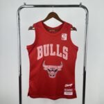 Chicago Bulls * Black Pink Jersey No.16