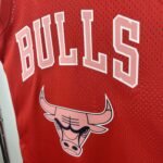 Chicago Bulls * Black Pink Jersey No.16 - Image 3