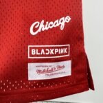 Chicago Bulls * Black Pink Jersey No.16 - Image 6