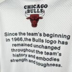 26 Season Chicago Bulls Jersey - Image 5