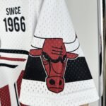 26 Season Chicago Bulls Jersey - Image 6