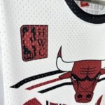 26 Season Chicago Bulls Jersey - Image 8