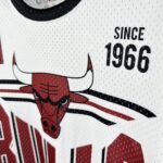 26 Season Chicago Bulls Jersey - Image 9