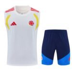 Colombia 2026 Sleeveless Training Suit - Image 4