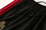 Belgium 2026 Hoodie Training Suit - Image 9