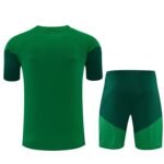 Short Sleeves Algeria 2026/27 Training Suit - Image 2