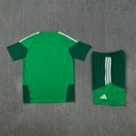 Short Sleeves Algeria 2026/27 Training Suit - Image 4
