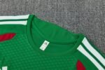 Short Sleeves Algeria 2026/27 Training Suit - Image 5