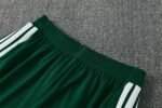 Short Sleeves Algeria 2026/27 Training Suit - Image 11