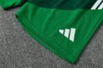 Short Sleeves Algeria 2026/27 Training Suit - Image 13
