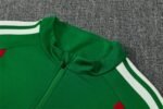 Algeria 2026 Training Suit Half Zipper - Image 5