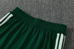 Algeria 2026 Training Suit Half Zipper - Image 15