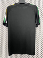 Celtic Origins T-Shirt - Image 4