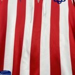 Retro Chivas 2017/18 110th Anniversary Jeresy Long Sleeves - Image 8