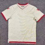 Albania 26/27 Away Jersey S-4XL - Image 2