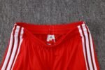 SC Internacional Short Sleeves Training Suit J26015 - Image 8