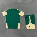 Short Sleeves Real Madrid Training Suit - Green - Image 4