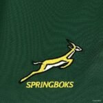2025 South Africa Home / Green - Image 6