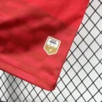 2026/27 Haiti Third Jersey Fan Version S-4XL - Image 5